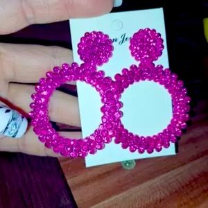 🎀NWT Pink Color Fashionista Loop Earrings